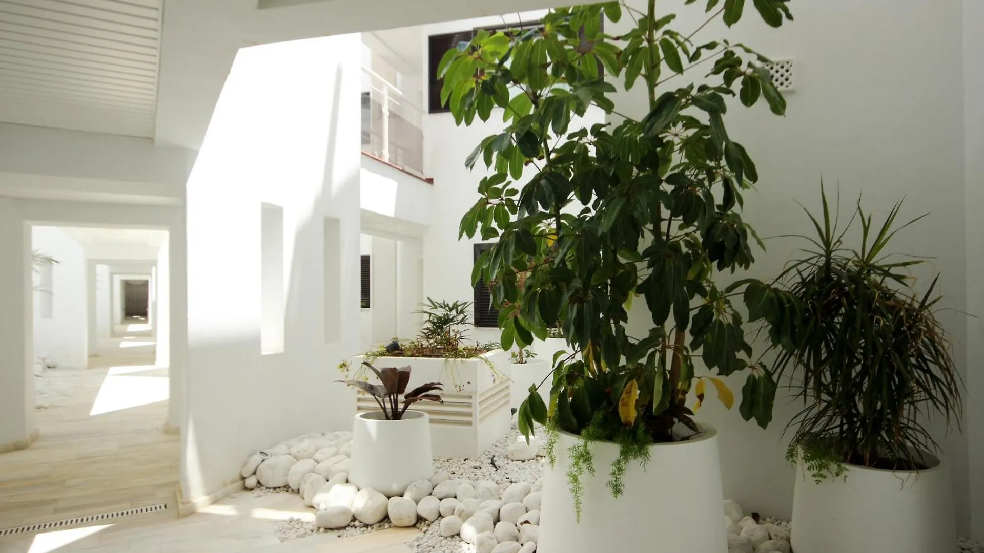 Apartment Beachfront Penthouse With Sea Views, Hot Tub, Bbq Casares Spain
